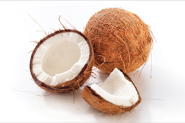 Coconut / Narkol