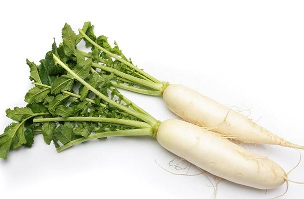 White Radish / Sada mula