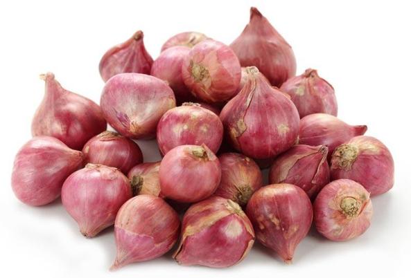 Onion