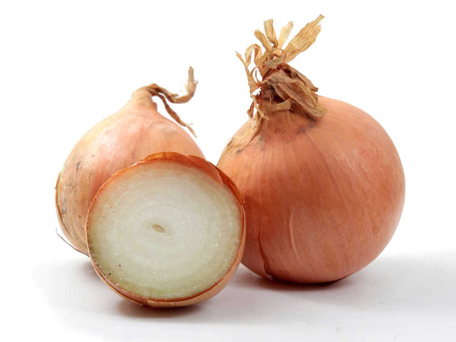 Onion