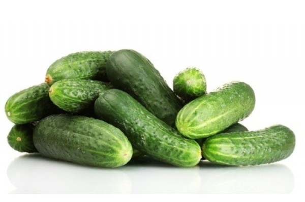 Cucumber 