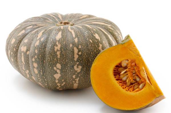 Pumkin / Kumro