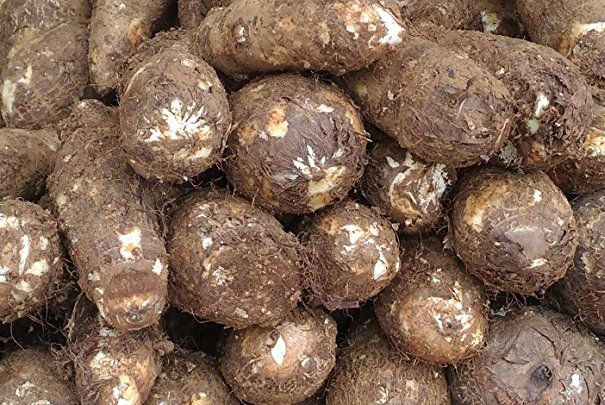Kochu / Taro Root