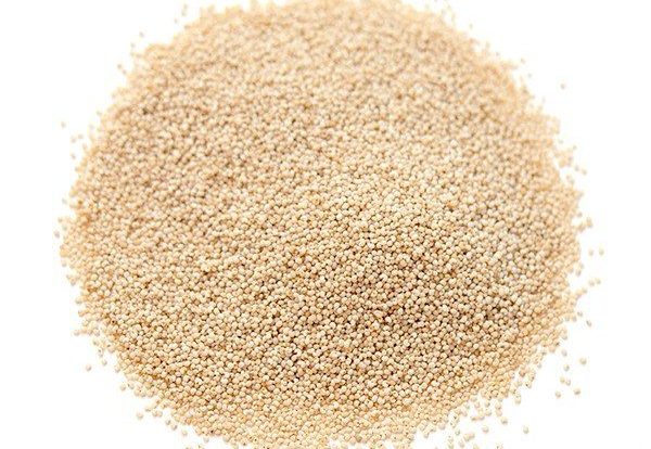 Good quality Posto - Regular