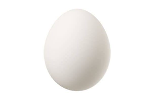 Poultry Egg