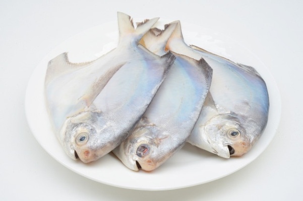 Pomfret Fish (good size)