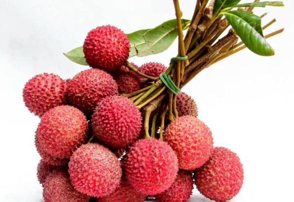 Lychees / Lichu 