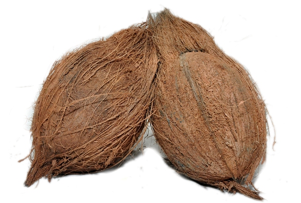 Coconut / Narkol