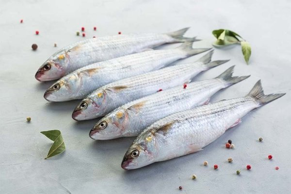 Parse Bata Fish - Medium 
