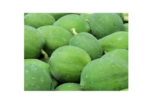 Green Papaya