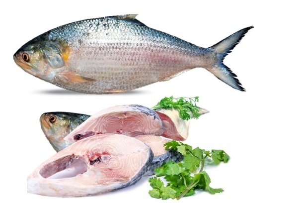 Good Size Ilish / Hilsa